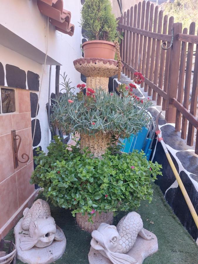 شقة El Palmito 2 Mogán المظهر الخارجي الصورة
